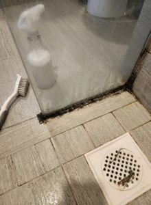 How to Remove Mould on a Shower Screen